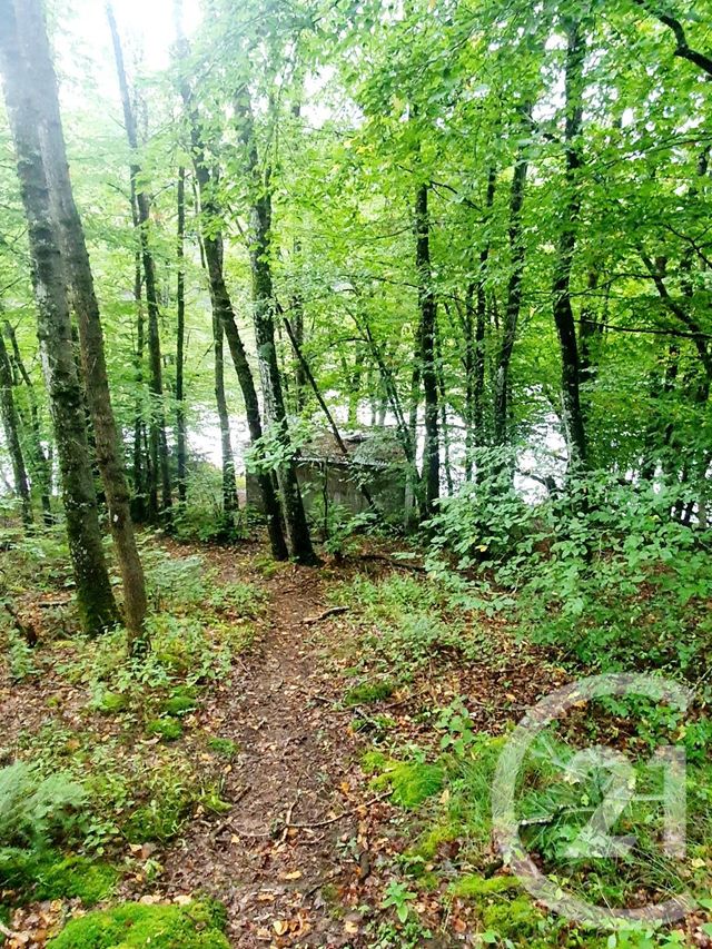 terrain à vendre - 10553.0 m2 - MAZIRAT - 03 - AUVERGNE - Century 21 Pasquet Immobilier