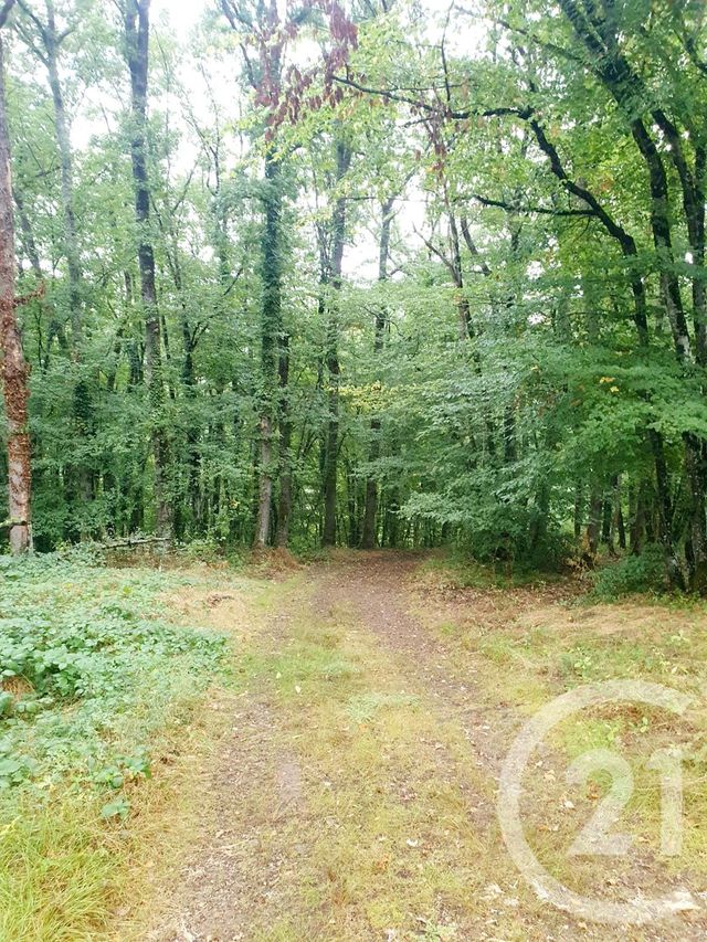 terrain à vendre - 10553.0 m2 - MAZIRAT - 03 - AUVERGNE - Century 21 Pasquet Immobilier