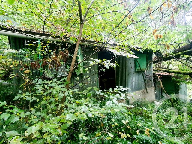 terrain à vendre - 10553.0 m2 - MAZIRAT - 03 - AUVERGNE - Century 21 Pasquet Immobilier