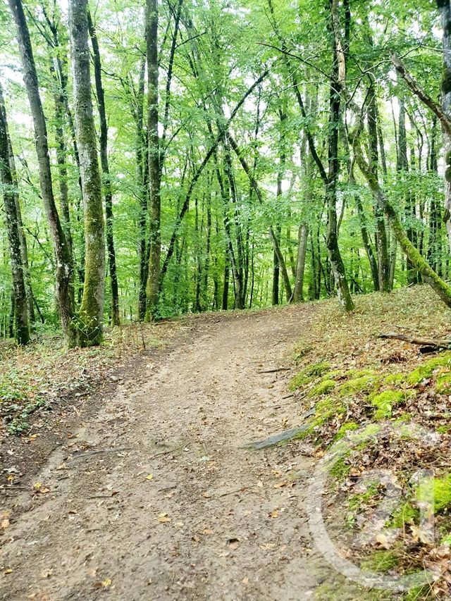 terrain à vendre - 10553.0 m2 - MAZIRAT - 03 - AUVERGNE - Century 21 Pasquet Immobilier