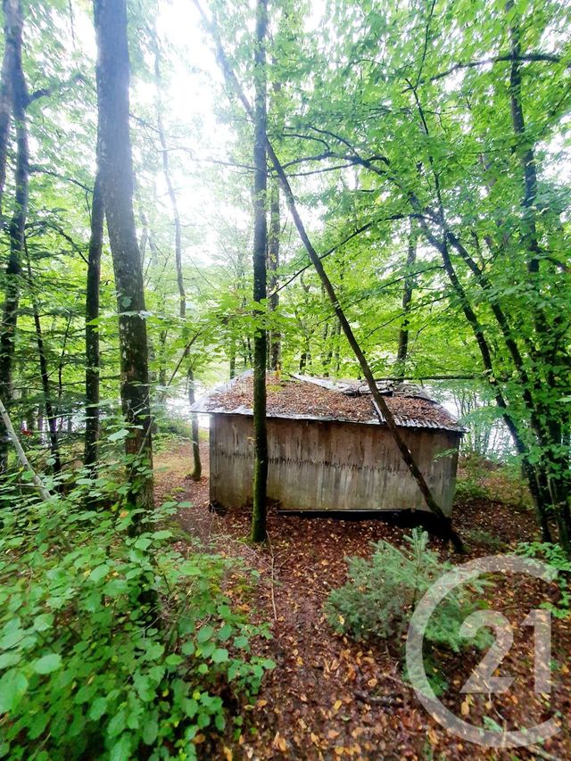 terrain à vendre - 10553.0 m2 - MAZIRAT - 03 - AUVERGNE - Century 21 Pasquet Immobilier