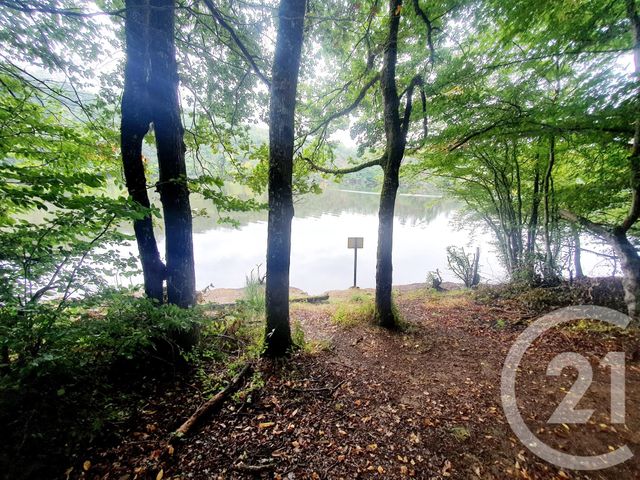 terrain à vendre - 10553.0 m2 - MAZIRAT - 03 - AUVERGNE - Century 21 Pasquet Immobilier