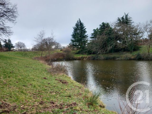 Afficher la photo en grand terrain à vendre - 32616.0 m2 - NERIS LES BAINS - 03 - AUVERGNE - Century 21 Pasquet Immobilier