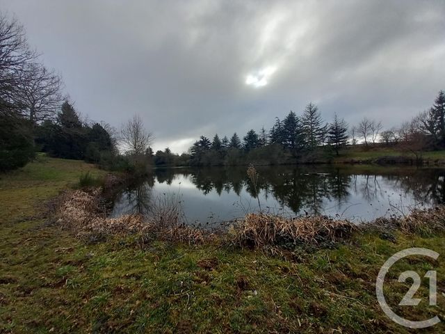 Afficher la photo en grand terrain à vendre - 32616.0 m2 - NERIS LES BAINS - 03 - AUVERGNE - Century 21 Pasquet Immobilier