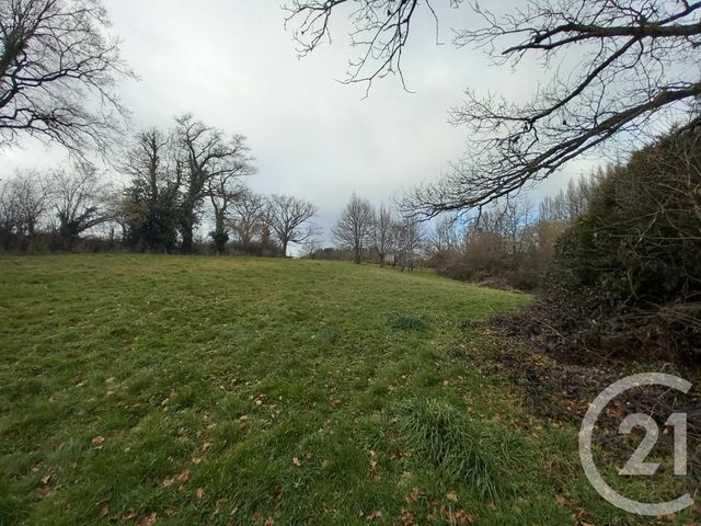 Afficher la photo en grand terrain à vendre - 32616.0 m2 - NERIS LES BAINS - 03 - AUVERGNE - Century 21 Pasquet Immobilier