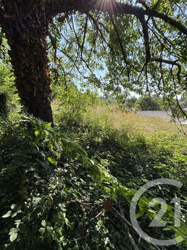 maison à vendre - 5 pièces - 115.0 m2 - BEZENET - 03 - AUVERGNE - Century 21 Pasquet Immobilier