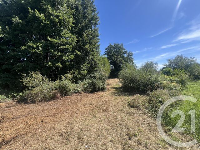 Afficher la photo en grand terrain à vendre - 8775.0 m2 - VILLEBRET - 03 - AUVERGNE - Century 21 Pasquet Immobilier