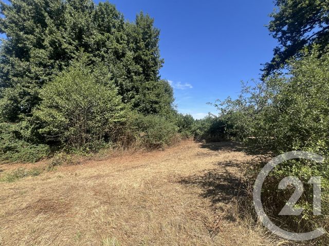 Afficher la photo en grand terrain à vendre - 8775.0 m2 - VILLEBRET - 03 - AUVERGNE - Century 21 Pasquet Immobilier
