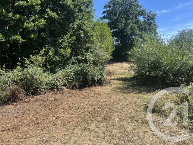 Afficher la photo en grand terrain à vendre - 8775.0 m2 - VILLEBRET - 03 - AUVERGNE - Century 21 Pasquet Immobilier