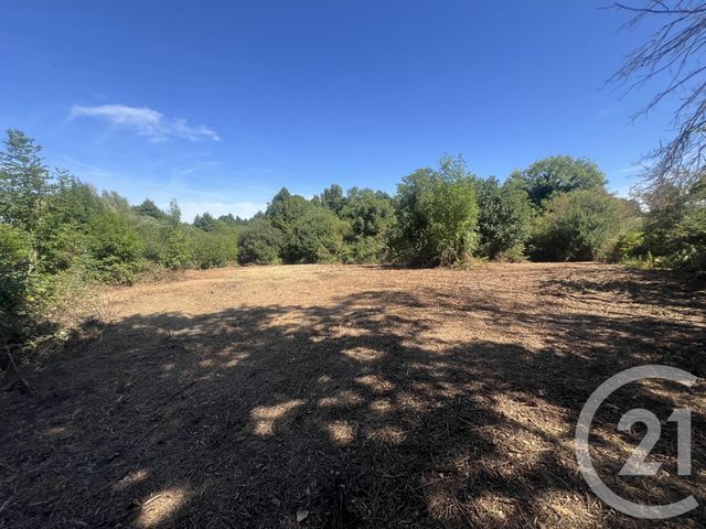 Afficher la photo en grand terrain à vendre - 8775.0 m2 - VILLEBRET - 03 - AUVERGNE - Century 21 Pasquet Immobilier