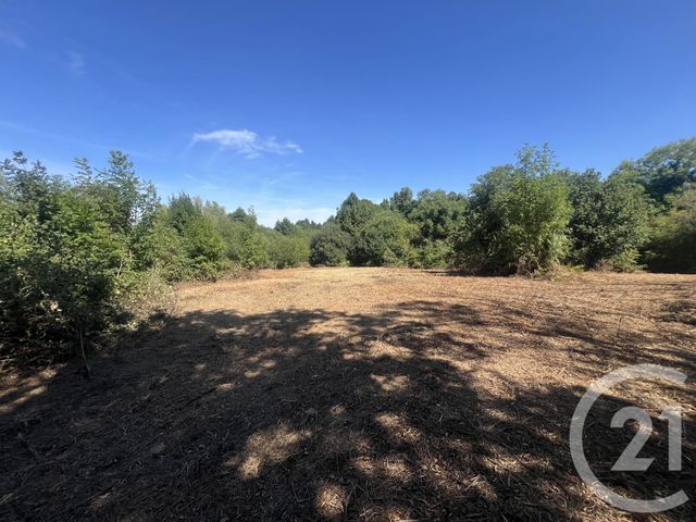 Afficher la photo en grand terrain à vendre - 8775.0 m2 - VILLEBRET - 03 - AUVERGNE - Century 21 Pasquet Immobilier