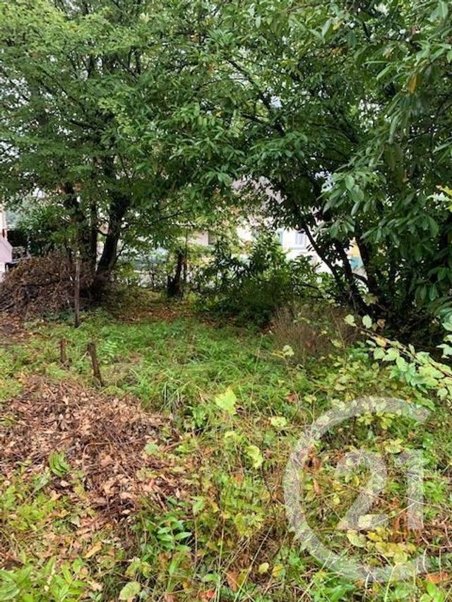 maison à louer - 2 pièces - 38.72 m2 - MONTLUCON - 03 - AUVERGNE - Century 21 Pasquet Immobilier