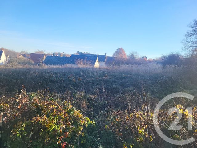 terrain à vendre - 1000.0 m2 - DOMERAT - 03 - AUVERGNE - Century 21 Pasquet Immobilier