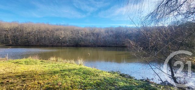 terrain à vendre - 13145.0 m2 - VILLEBRET - 03 - AUVERGNE - Century 21 Pasquet Immobilier