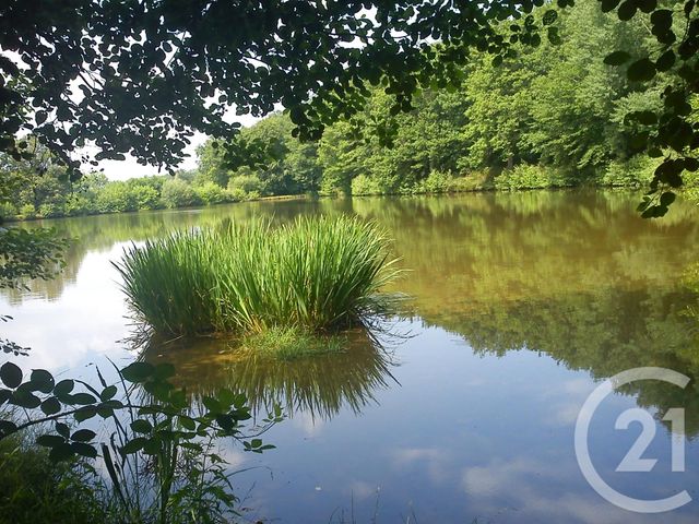 terrain à vendre - 13145.0 m2 - VILLEBRET - 03 - AUVERGNE - Century 21 Pasquet Immobilier