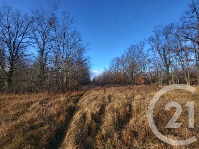 terrain à vendre - 325020.0 m2 - VAUX - 03 - AUVERGNE - Century 21 Pasquet Immobilier