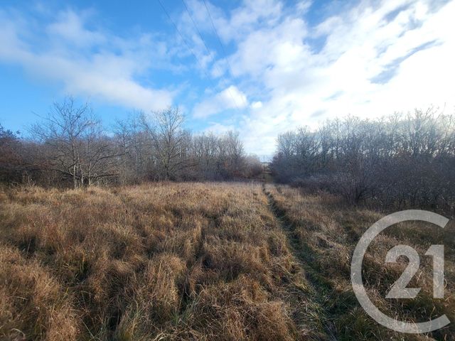 terrain à vendre - 325020.0 m2 - VAUX - 03 - AUVERGNE - Century 21 Pasquet Immobilier