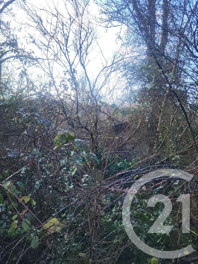 terrain à vendre - 325020.0 m2 - VAUX - 03 - AUVERGNE - Century 21 Pasquet Immobilier