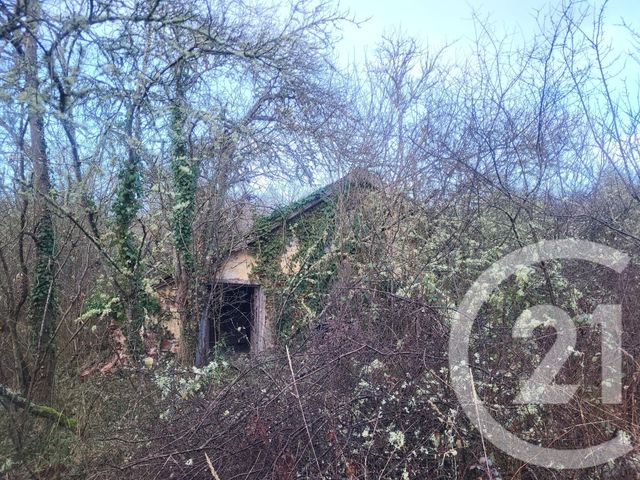 terrain à vendre - 325020.0 m2 - VAUX - 03 - AUVERGNE - Century 21 Pasquet Immobilier