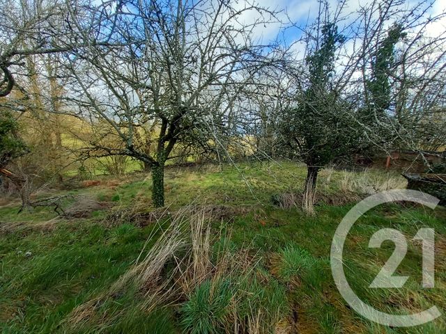 maison à vendre - 1 pièce - 80.0 m2 - DURDAT LAREQUILLE - 03 - AUVERGNE - Century 21 Pasquet Immobilier