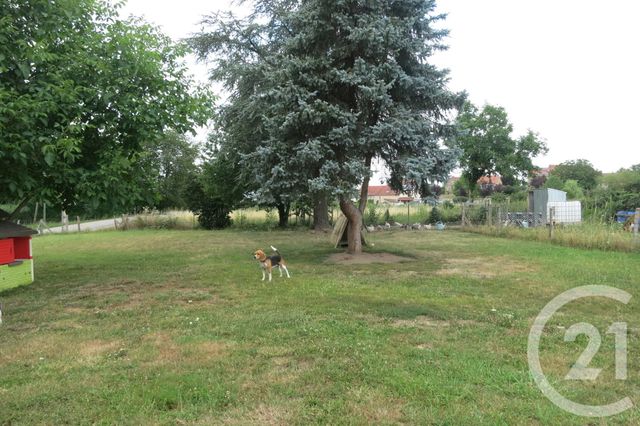 maison à louer - 4 pièces - 75.77 m2 - MONTVICQ - 03 - AUVERGNE - Century 21 Pasquet Immobilier