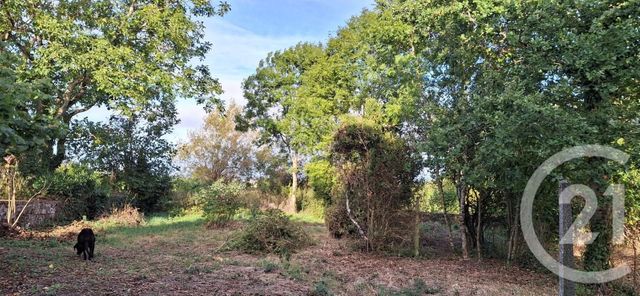 maison à louer - 4 pièces - 103.3 m2 - TREIGNAT - 03 - AUVERGNE - Century 21 Pasquet Immobilier