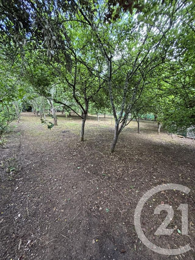 terrain à vendre - 1824.0 m2 - VIPLAIX - 03 - AUVERGNE - Century 21 Pasquet Immobilier