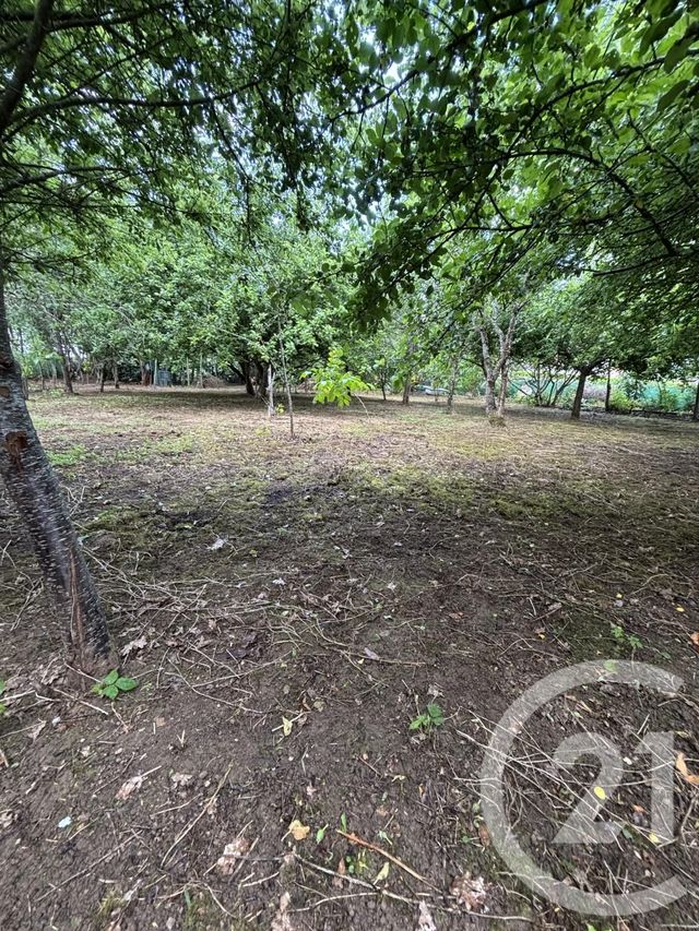 terrain à vendre - 1824.0 m2 - VIPLAIX - 03 - AUVERGNE - Century 21 Pasquet Immobilier